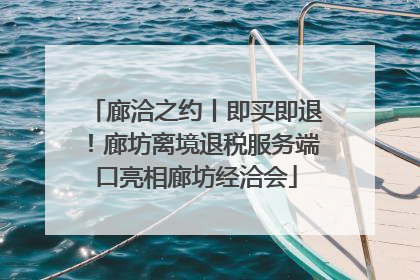 廊洽之约丨即买即退！廊坊离境退税服务端口亮相廊坊经洽会