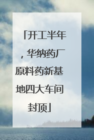 开工半年，华纳药厂原料药新基地四大车间封顶