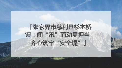 张家界市慈利县杉木桥镇：闻“汛”而动显担当 齐心筑牢“安全堤”