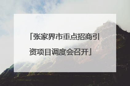 张家界市重点招商引资项目调度会召开