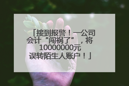 接到报警！一公司会计“闯祸了”，将10000000元误转陌生人账户！
