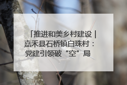 推进和美乡村建设｜嘉禾县石桥镇白珠村：党建引领破“空”局 乡贤聚力绘就新图景