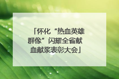 怀化“热血英雄群像”闪耀全省献血献浆表彰大会