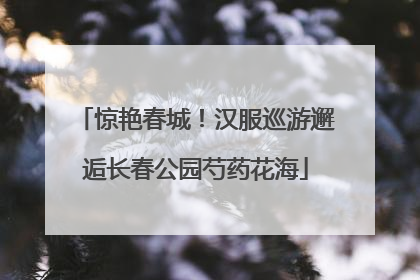 惊艳春城!汉服巡游邂逅长春公园芍药花海