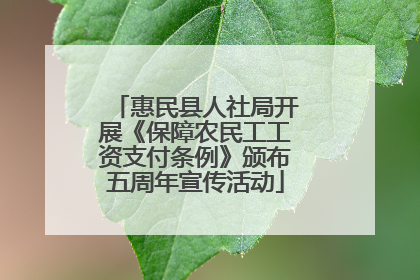惠民县人社局开展《保障农民工工资支付条例》颁布五周年宣传活动