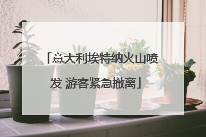 意大利埃特纳火山喷发 游客紧急撤离