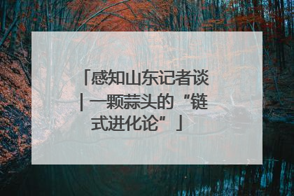 感知山东记者谈｜一颗蒜头的“链式进化论”