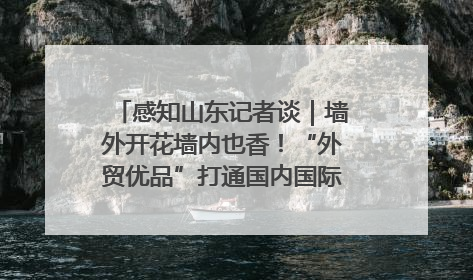 感知山东记者谈｜墙外开花墙内也香！“外贸优品”打通国内国际市场“旋转门”