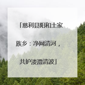 慈利县阳和土家族乡：净网清河，共护溇澧清波