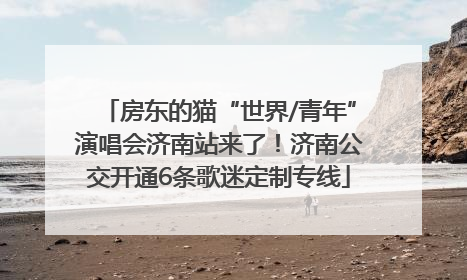 房东的猫“世界/青年”演唱会济南站来了！济南公交开通6条歌迷定制专线