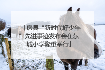 房县“新时代好少年”先进事迹发布会在东城小学隆重举行