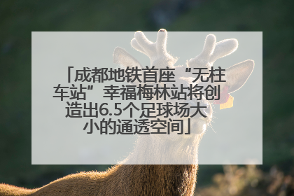 成都地铁首座“无柱车站”幸福梅林站将创造出6.5个足球场大小的通透空间