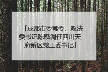 成都市委常委、政法委书记陈麟调任四川天府新区党工委书记