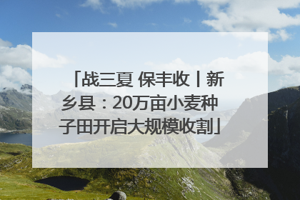 战三夏 保丰收丨新乡县：20万亩小麦种子田开启大规模收割