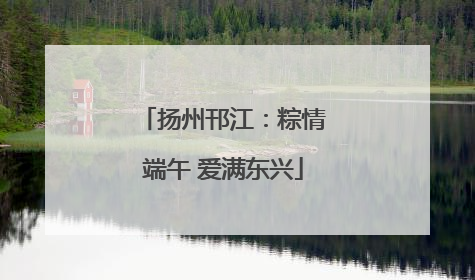 扬州邗江：粽情端午 爱满东兴