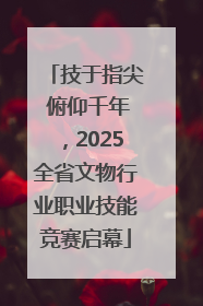 技于指尖 俯仰千年，2025全省文物行业职业技能竞赛启幕