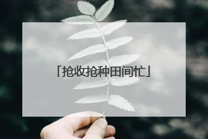 抢收抢种田间忙