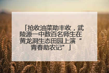 抢收油菜助丰收，武陵源一中数百名师生在黄龙洞生态田园上演“青春助农记”