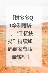拼多多Q1净利腰斩，“千亿扶持”持续加码商家高质量转型