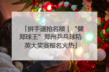 拼手速抢名额｜“健郑球王”郑州乒乓球精英大奖赛报名火热