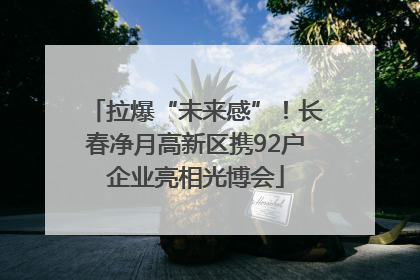 拉爆“未来感”！长春净月高新区携92户企业亮相光博会
