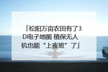 松阳万亩农田有了3D电子地图 植保无人机也能“上夜班”了