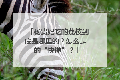 杨贵妃吃的荔枝到底是哪里的？怎么走的“快递”？