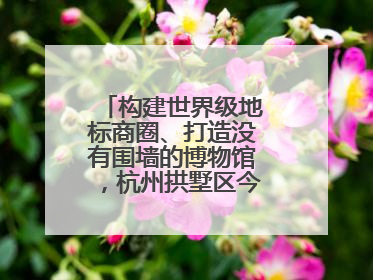构建世界级地标商圈、打造没有围墙的博物馆，杭州拱墅区今年要干这些事
