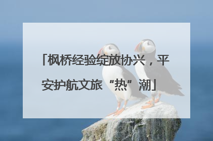 枫桥经验绽放协兴，平安护航文旅“热”潮