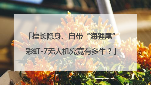 擅长隐身、自带“海狸尾” 彩虹-7无人机究竟有多牛？