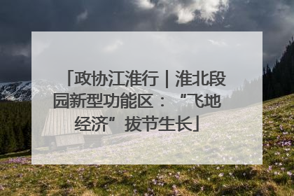 政协江淮行|淮北段园新型功能区:“飞地经济”拔节生长