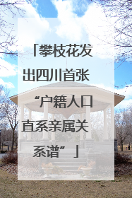 攀枝花发出四川首张“户籍人口直系亲属关系谱”