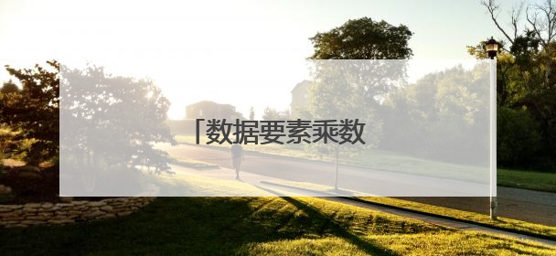 数据要素乘数效应有力释放