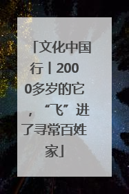 文化中国行丨2000多岁的它，“飞”进了寻常百姓家