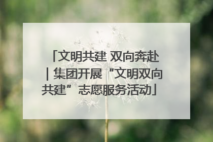 文明共建 双向奔赴｜集团开展“文明双向共建”志愿服务活动