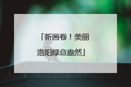 新画卷！美丽洛阳绿意盎然