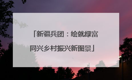 新疆兵团：绘就绿富同兴乡村振兴新图景