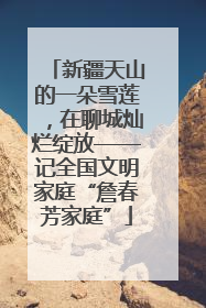 新疆天山的一朵雪莲，在聊城灿烂绽放——记全国文明家庭“詹春芳家庭”