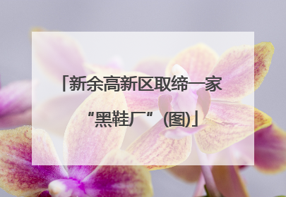 新余高新区取缔一家“黑鞋厂”(图)