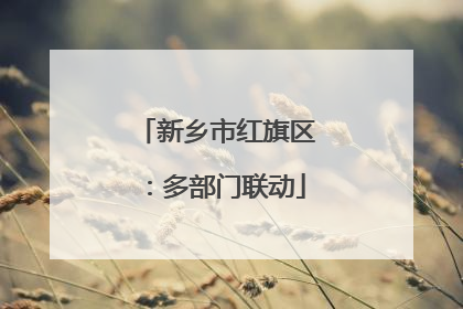 新乡市红旗区：多部门联动