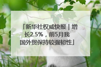 新华社权威快报|增长2.5%,前5月我国外贸保持较强韧性