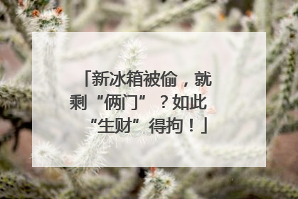 新冰箱被偷，就剩“俩门”？如此“生财”得拘！