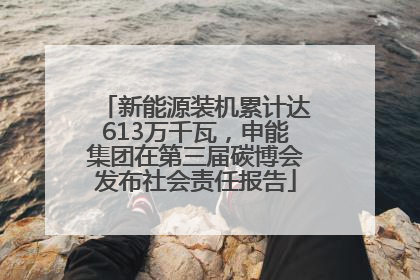新能源装机累计达613万千瓦，申能集团在第三届碳博会发布社会责任报告