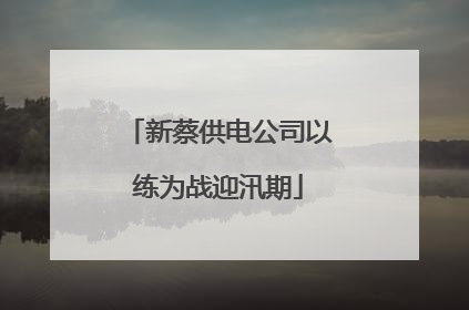新蔡供电公司以练为战迎汛期