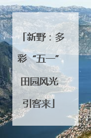 新野：多彩“五一” 田园风光引客来