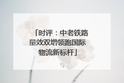 时评：中老铁路量效双增领跑国际物流新标杆