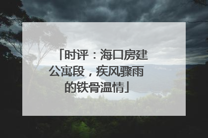 时评：海口房建公寓段，疾风骤雨的铁骨温情