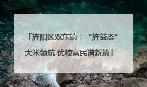 旌阳区双东镇：“旌益态”大米领航 优粮富民谱新篇