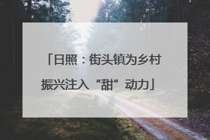 日照：街头镇为乡村振兴注入“甜”动力