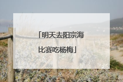 明天去阳宗海比赛吃杨梅
